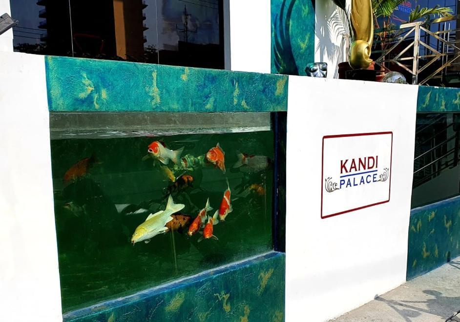 אנגלס Kandi Palace מראה חיצוני תמונה